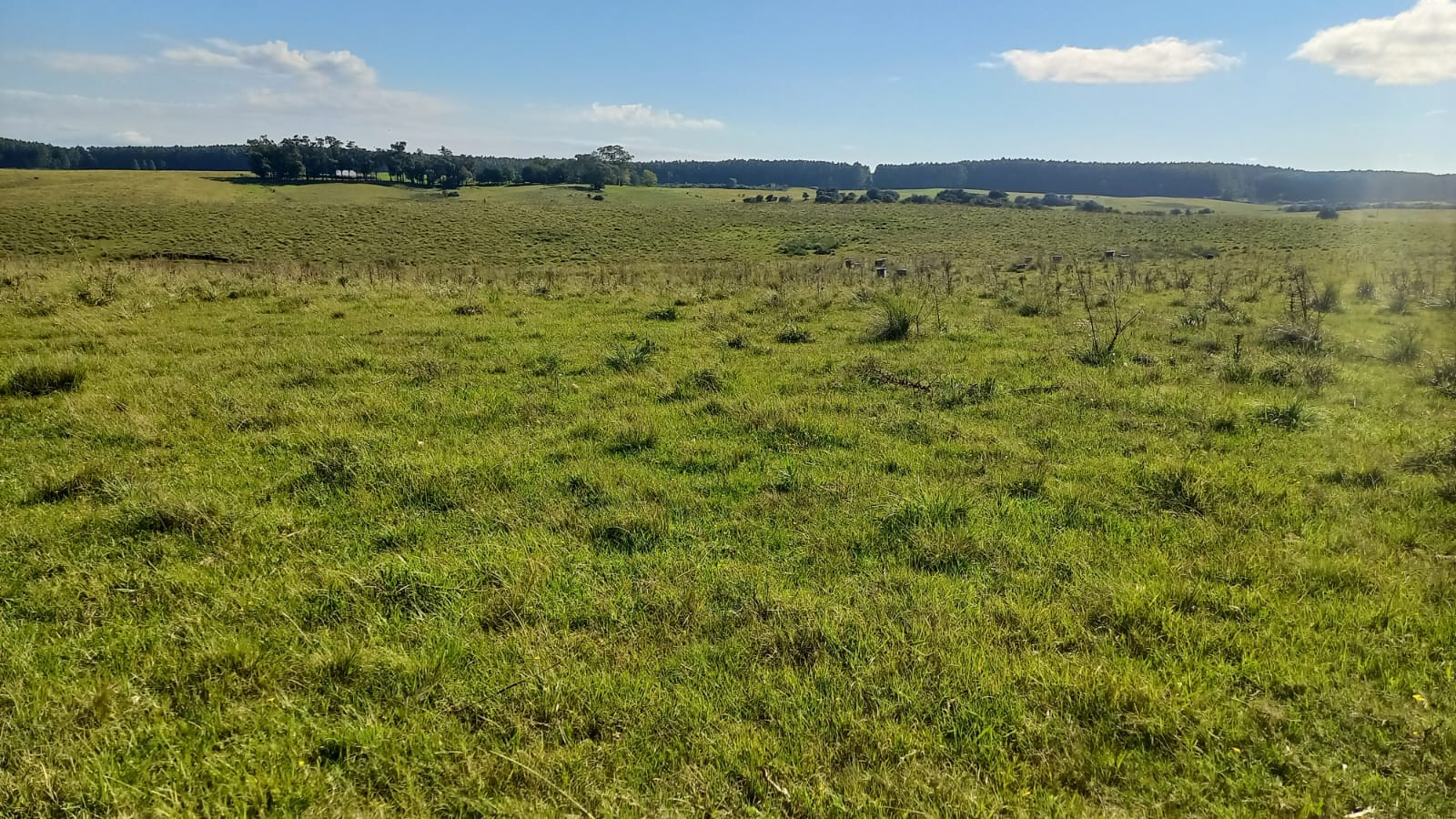 Fazenda à venda em Pedras Altas