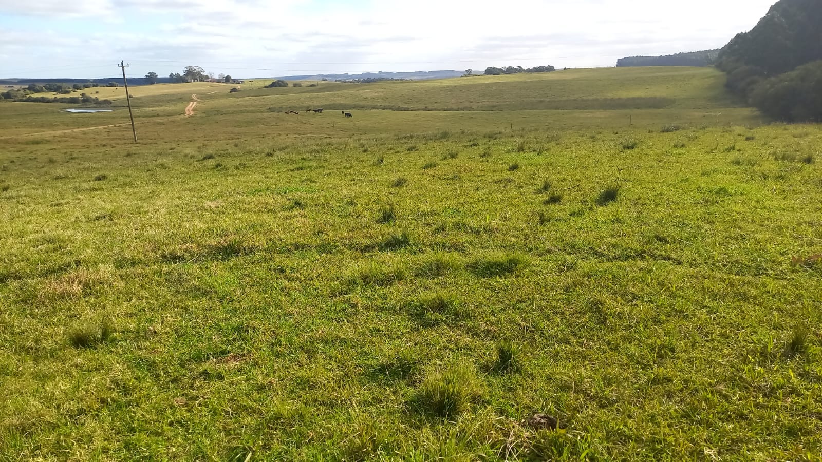 Fazenda à venda em Pedras Altas