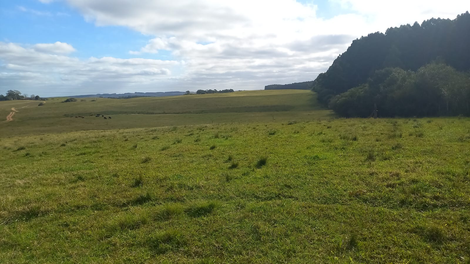 Fazenda à venda em Pedras Altas