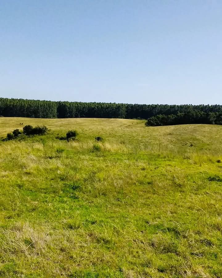 Fazenda à venda em Pedras Altas
