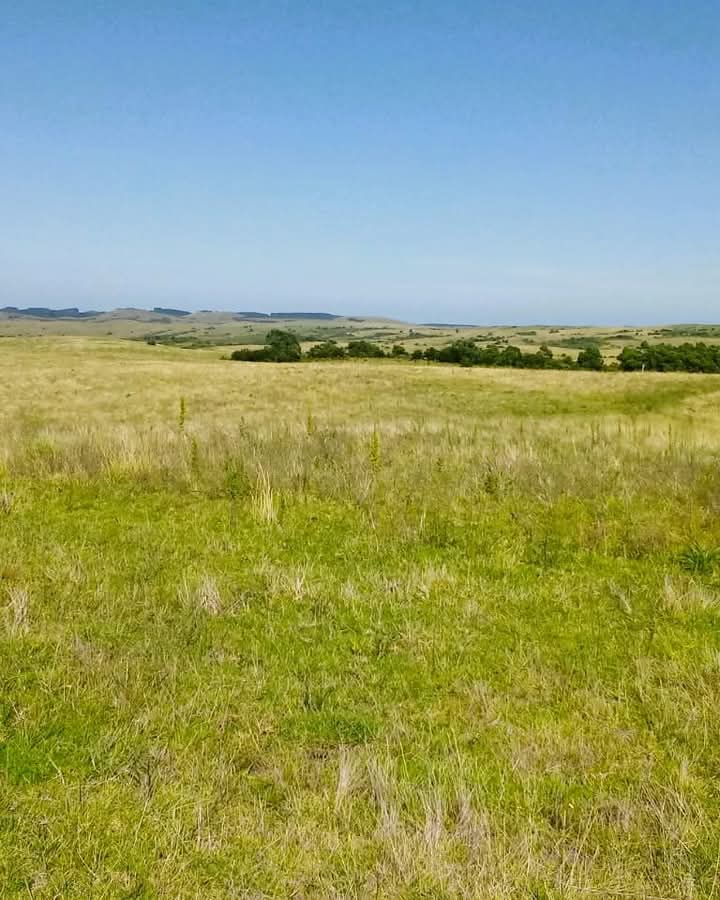 Fazenda à venda em Pedras Altas