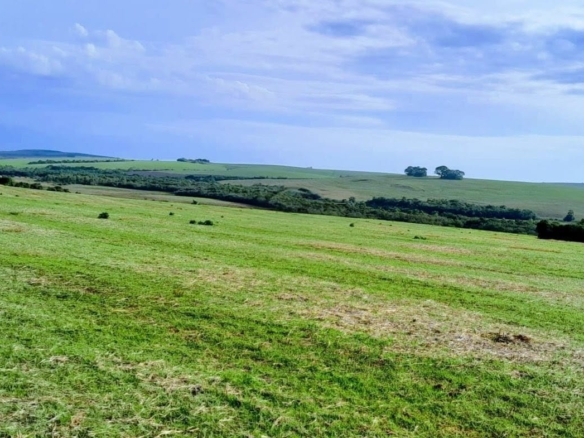 Fazenda à venda em Pantano Grande