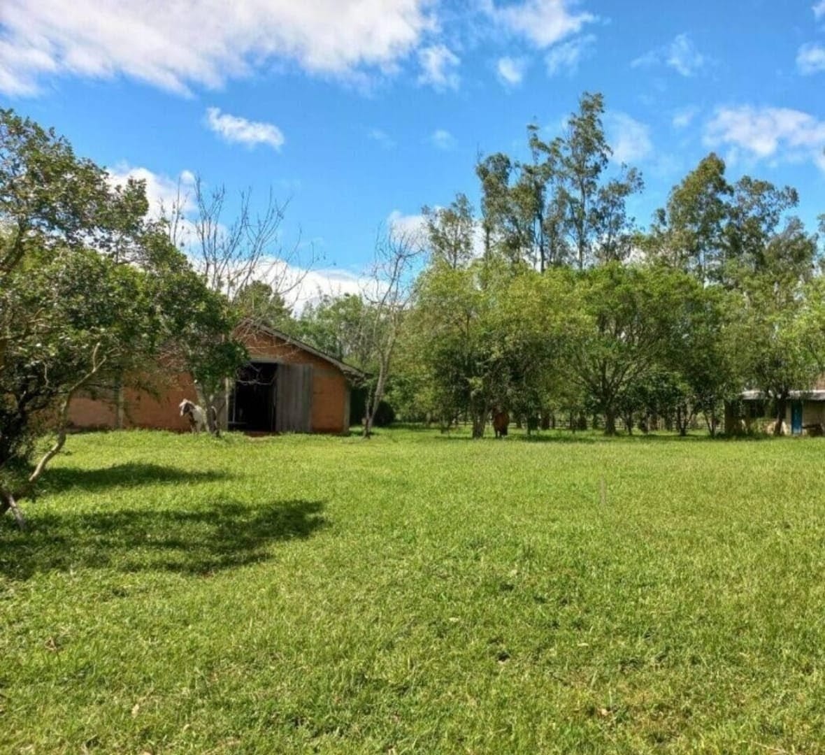 Fazenda à venda em Glorinha