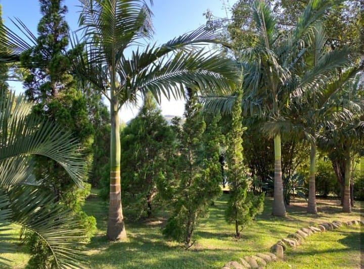Chácara à venda em Gravataí