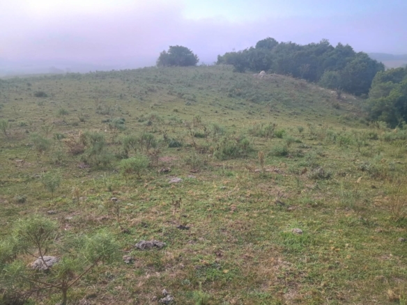 Fazenda à venda em Caçapava do Sul