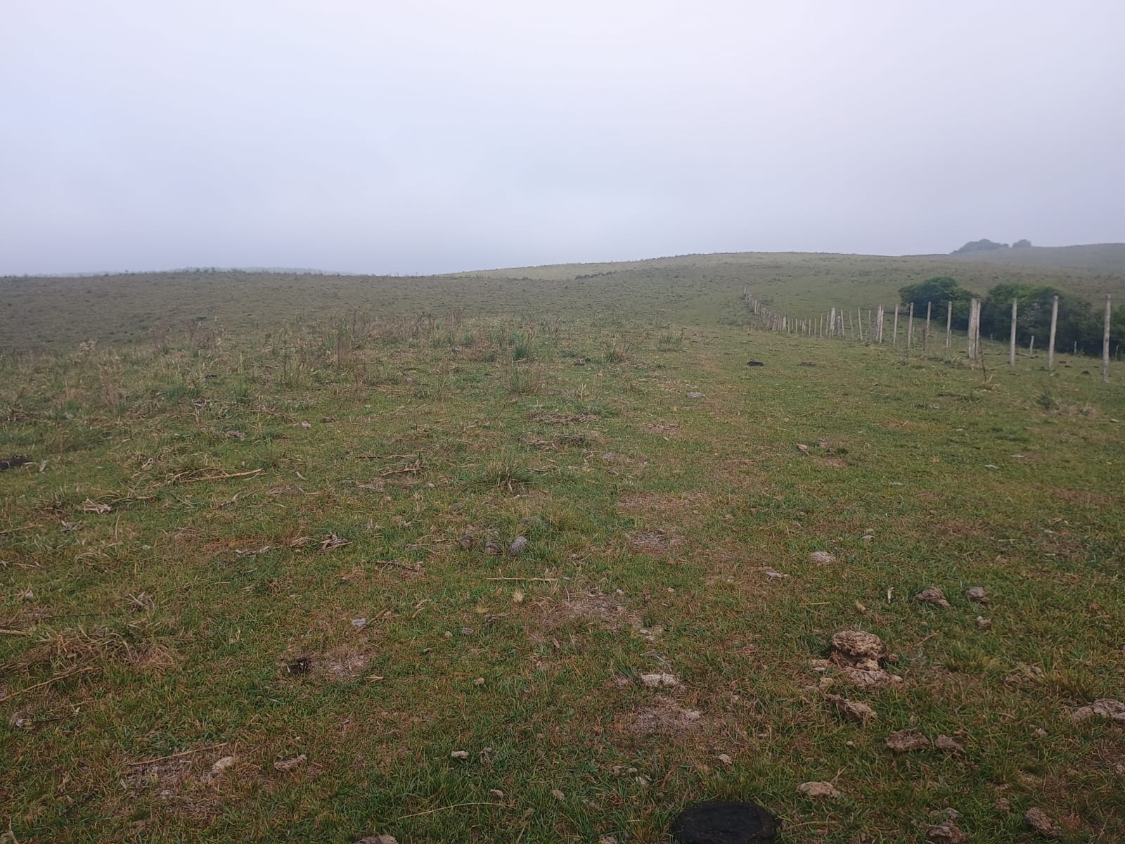 Fazenda à venda em Caçapava do Sul