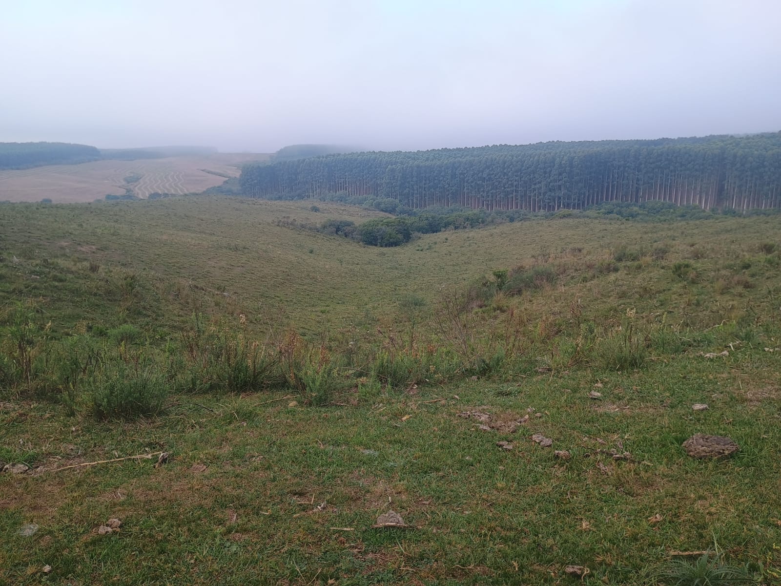 Fazenda à venda em Caçapava do Sul