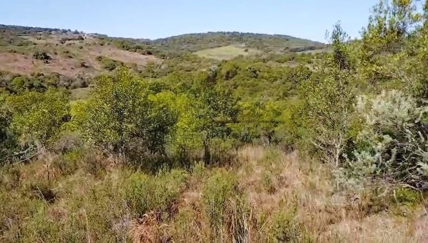 Fazenda à venda em Caçapava do Sul