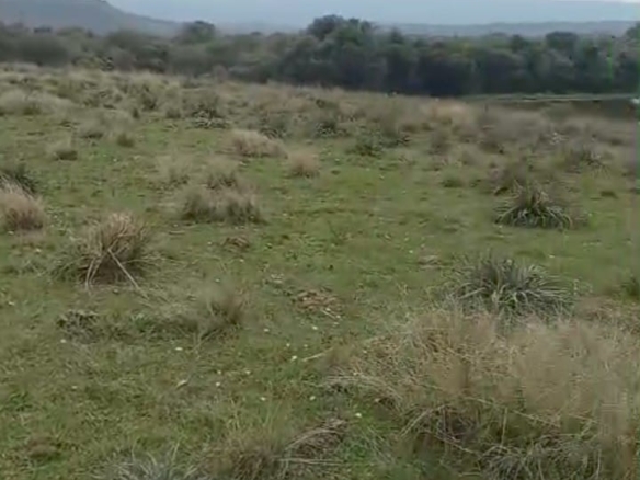 Fazenda à venda em Caçapava do Sul