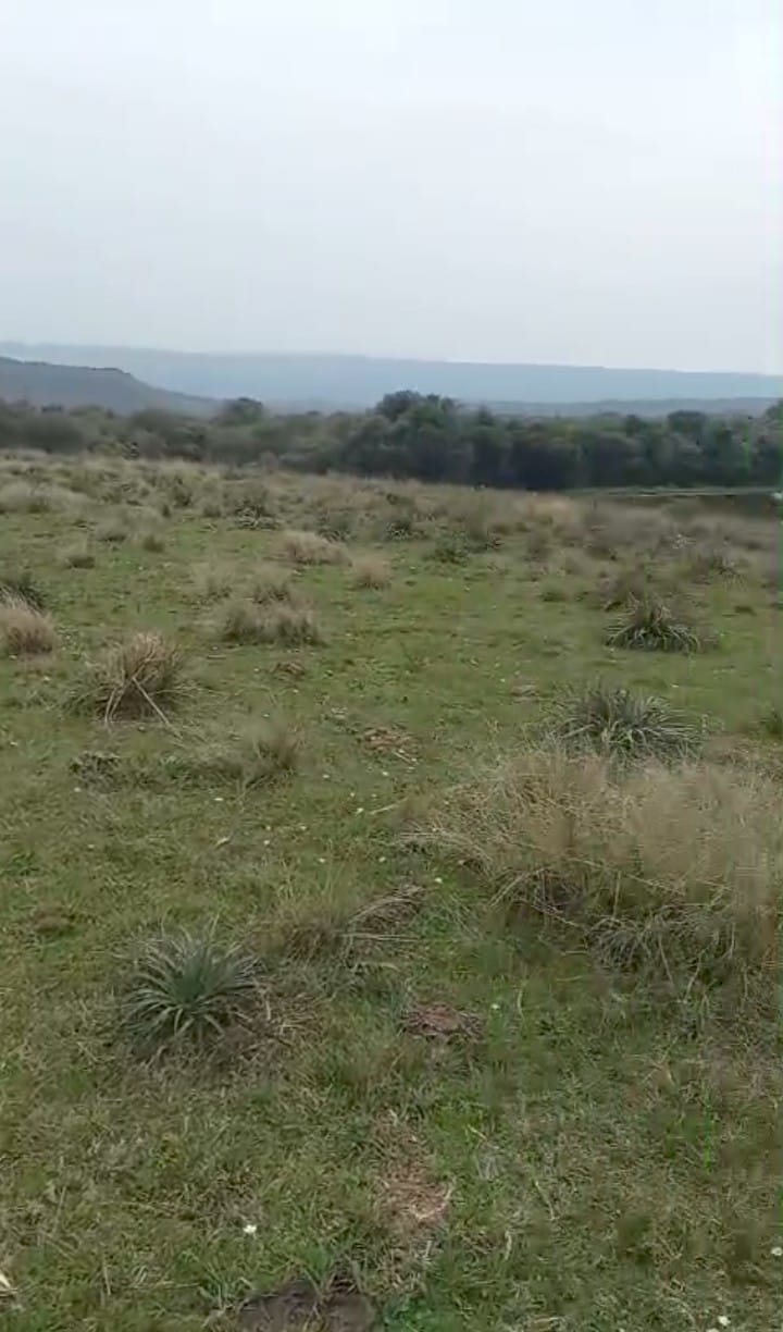 Fazenda à venda em Caçapava do Sul