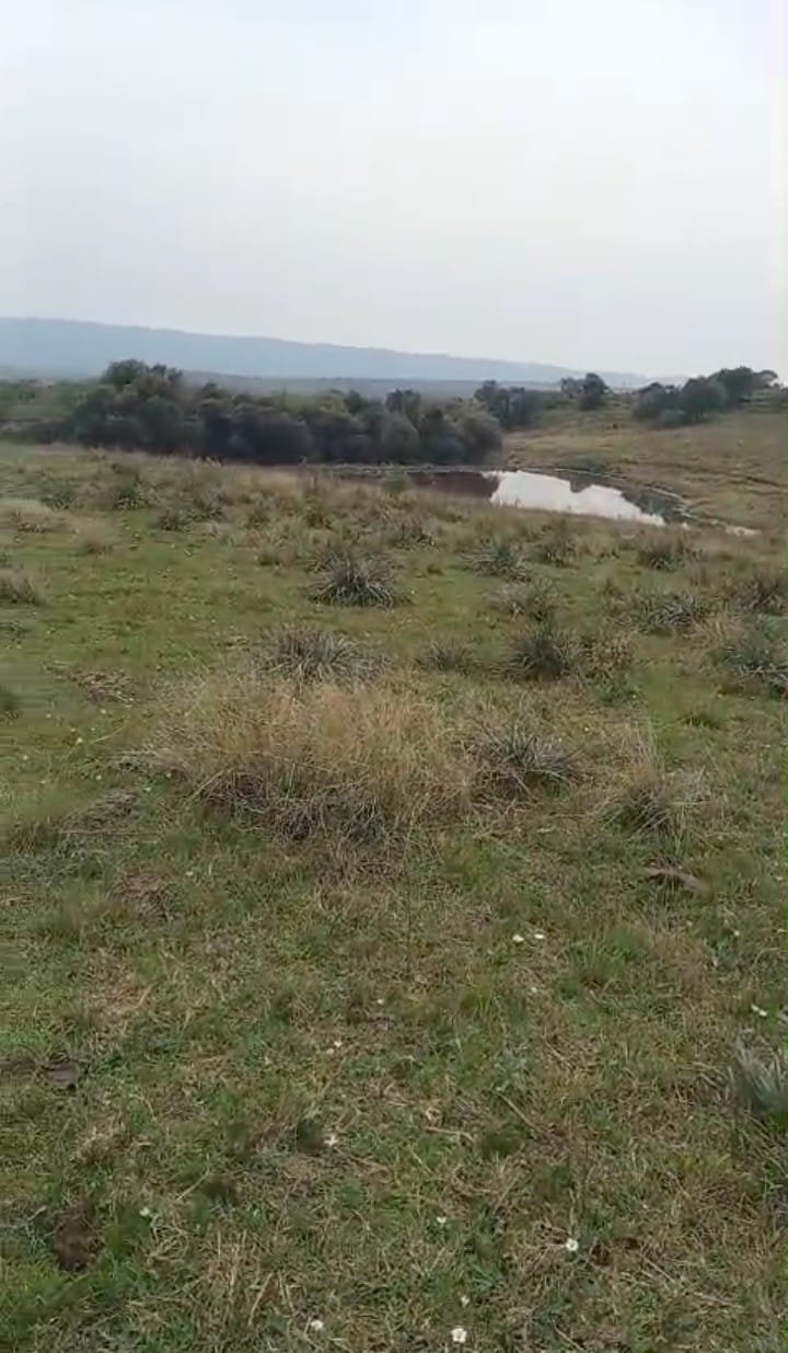 Fazenda à venda em Caçapava do Sul