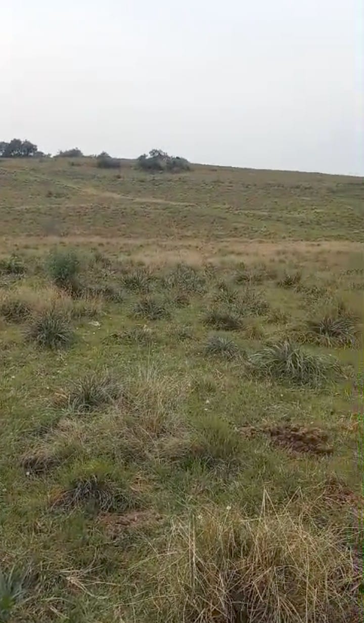 Fazenda à venda em Caçapava do Sul