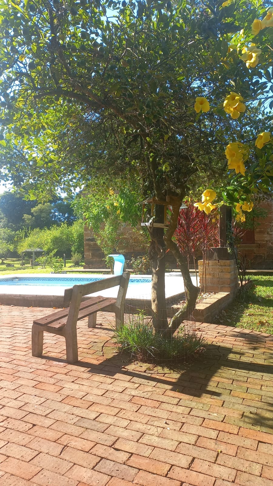 Sítio à venda em Santa Cruz do Sul