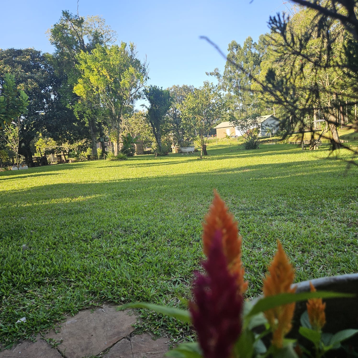 Sítio à venda em Santa Cruz do Sul