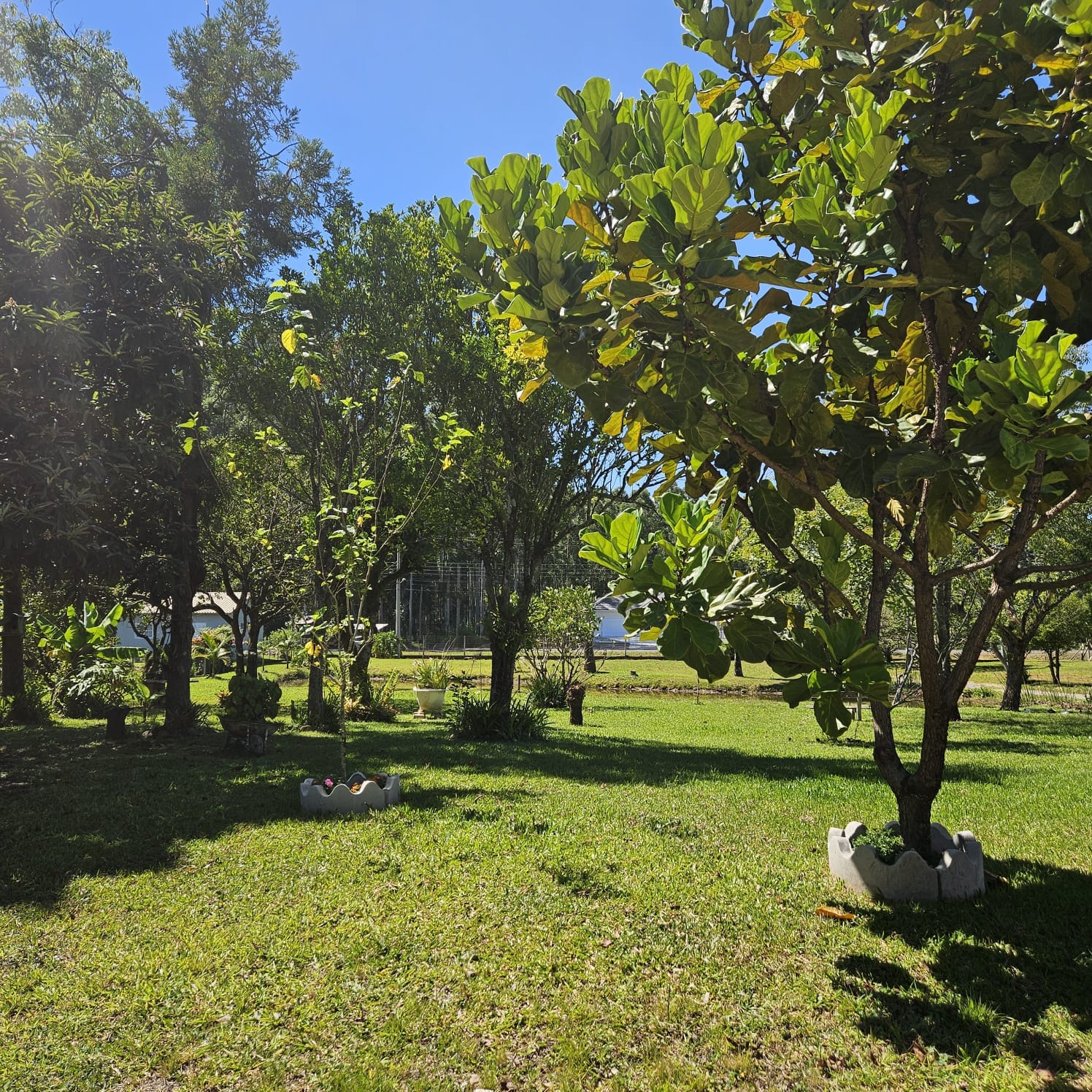 Sítio à venda em Santa Cruz do Sul
