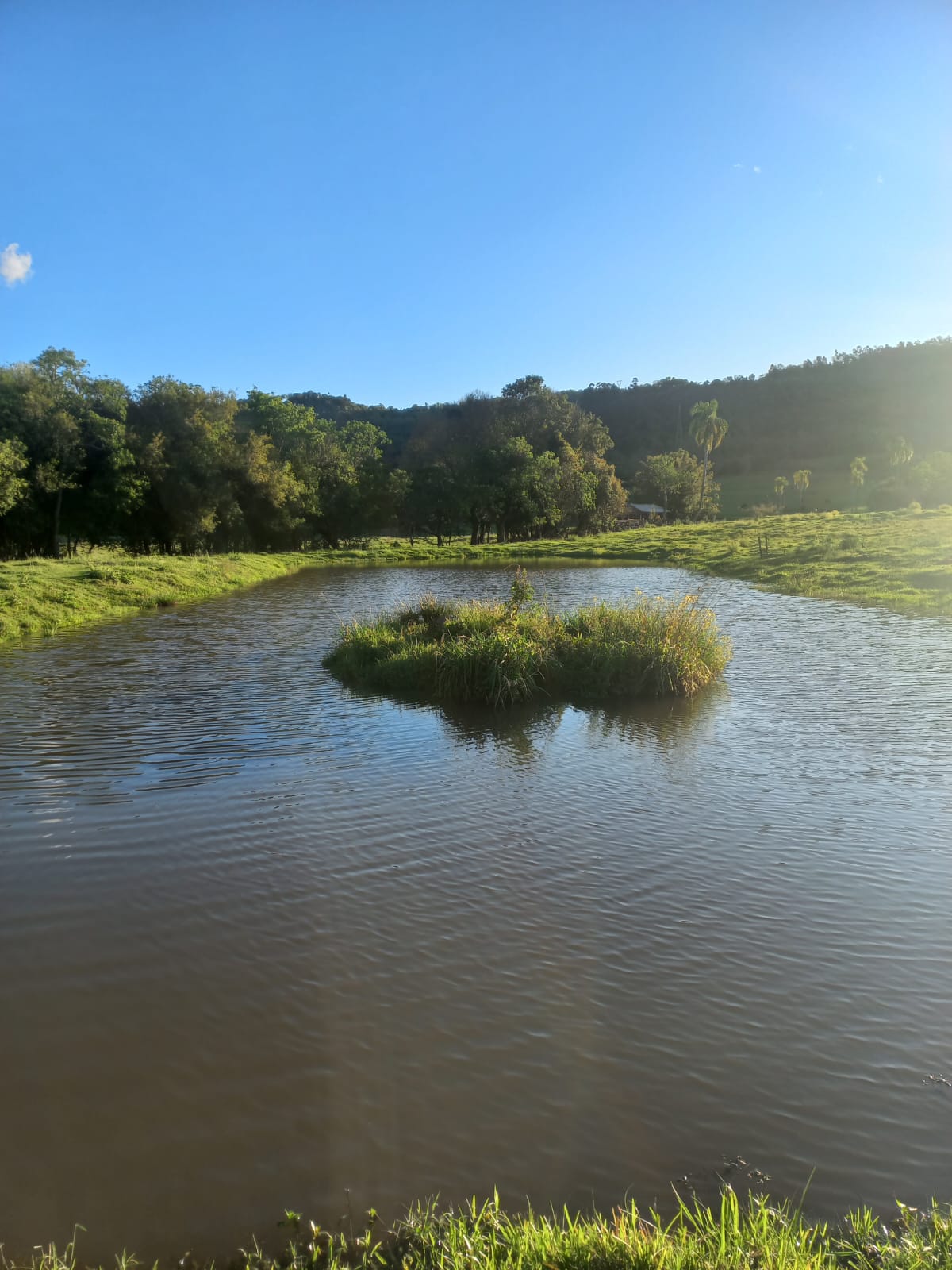 Sítio à venda em Santa Cruz do Sul