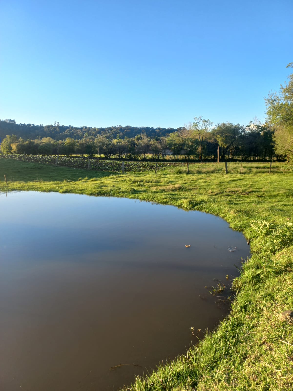 Sítio à venda em Santa Cruz do Sul