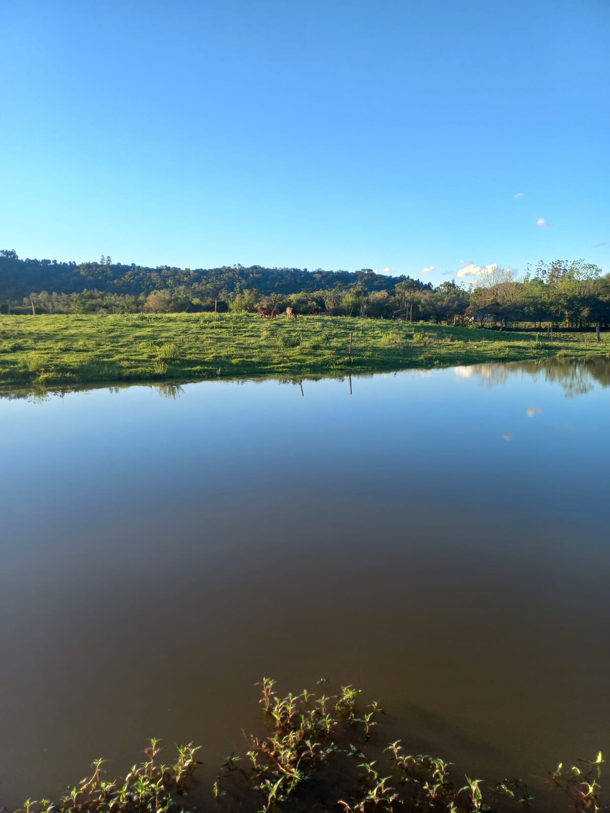 Sítio à venda em Santa Cruz do Sul
