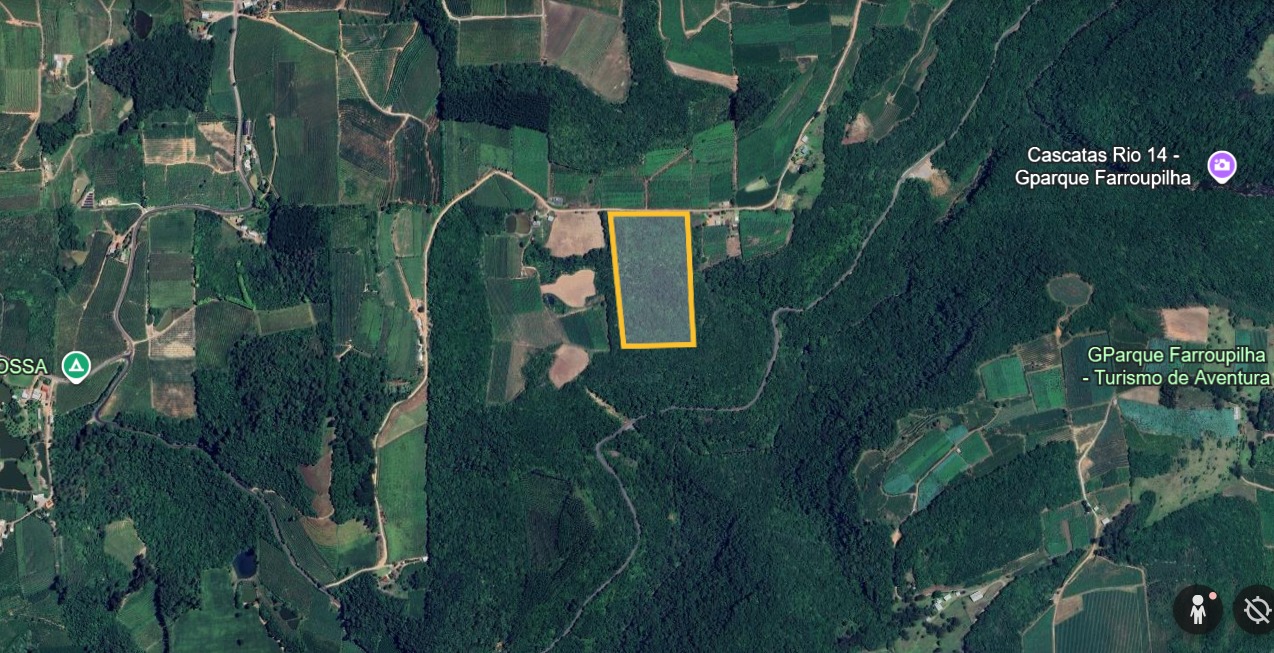 IMÓVEL RURAL FARROUPILHA