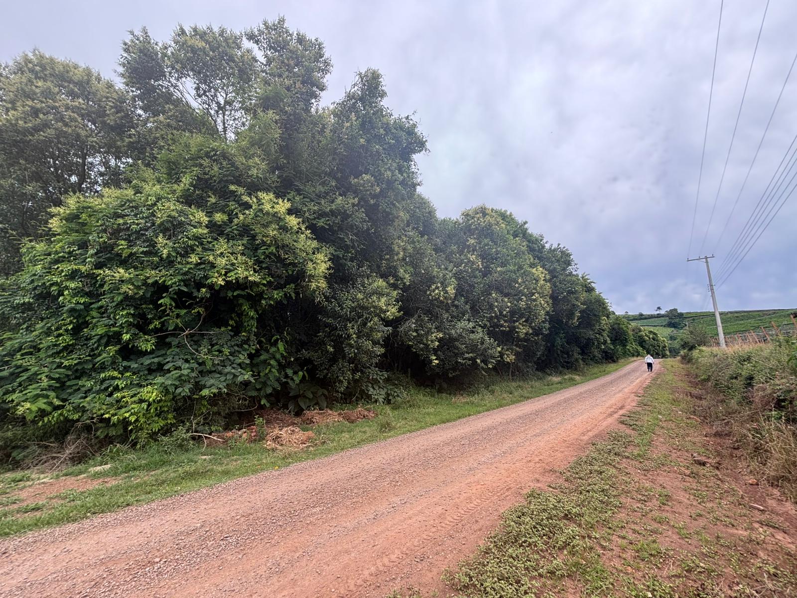 IMÓVEL RURAL FARROUPILHA