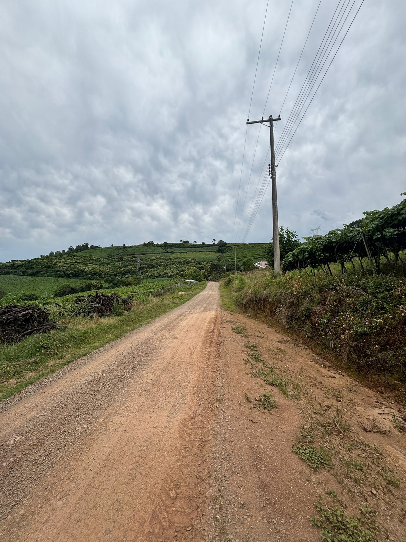 IMÓVEL RURAL FARROUPILHA