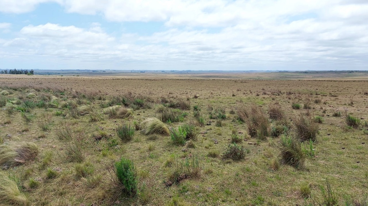Fazenda à venda em Quaraí