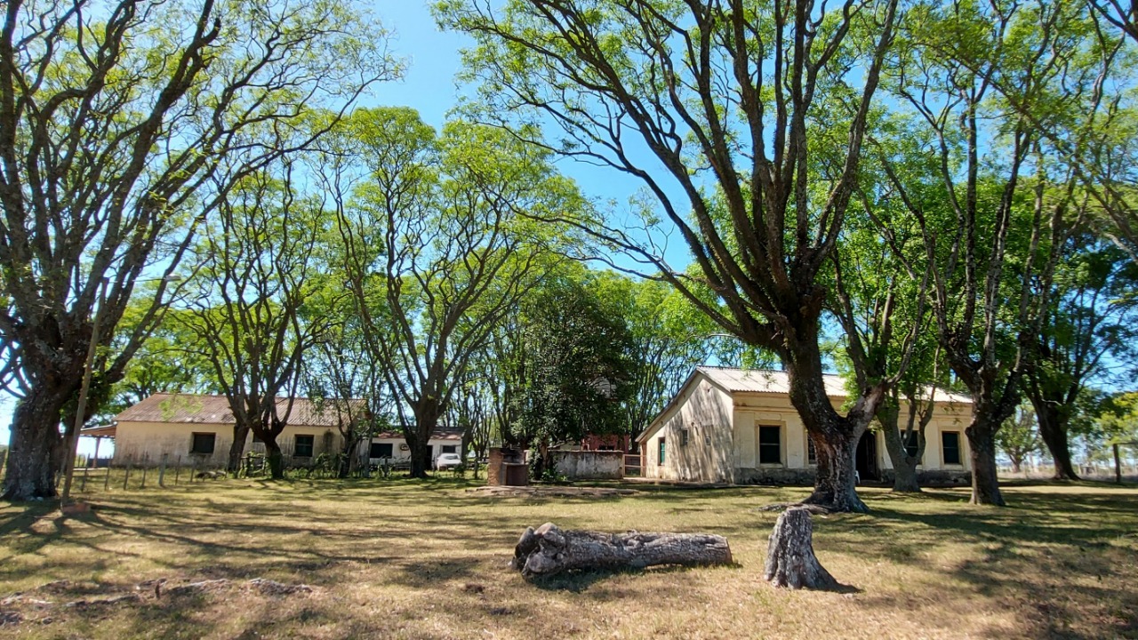 Fazenda à venda em Quaraí