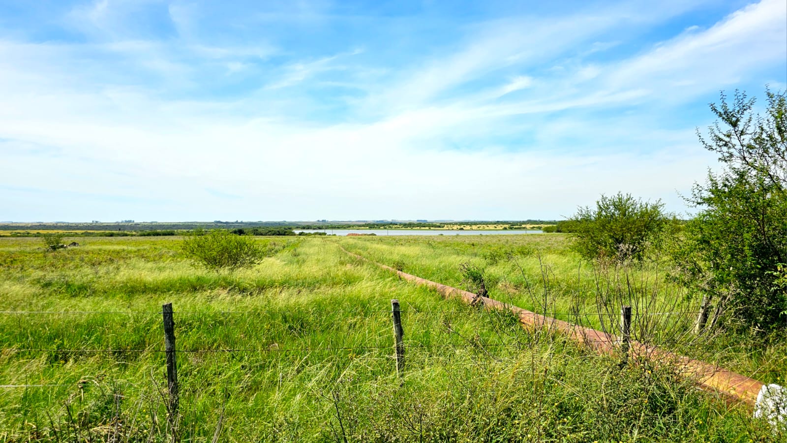 Fazenda à venda em Alegrete