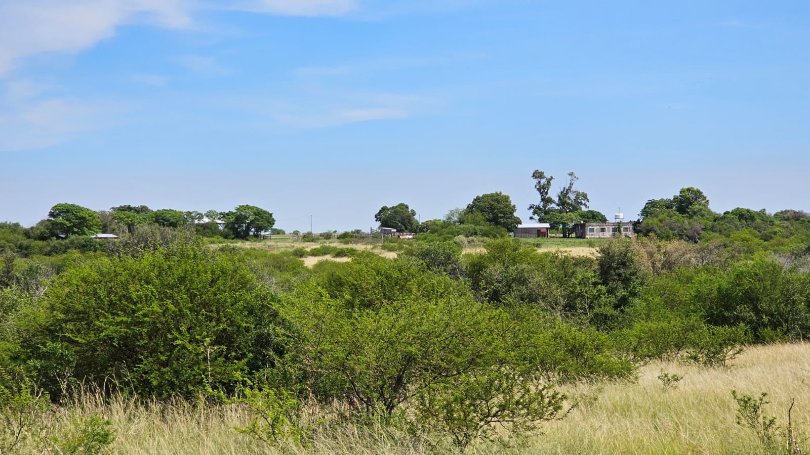 Fazenda à venda em Alegrete