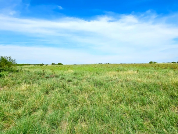 Fazenda à venda em Alegrete