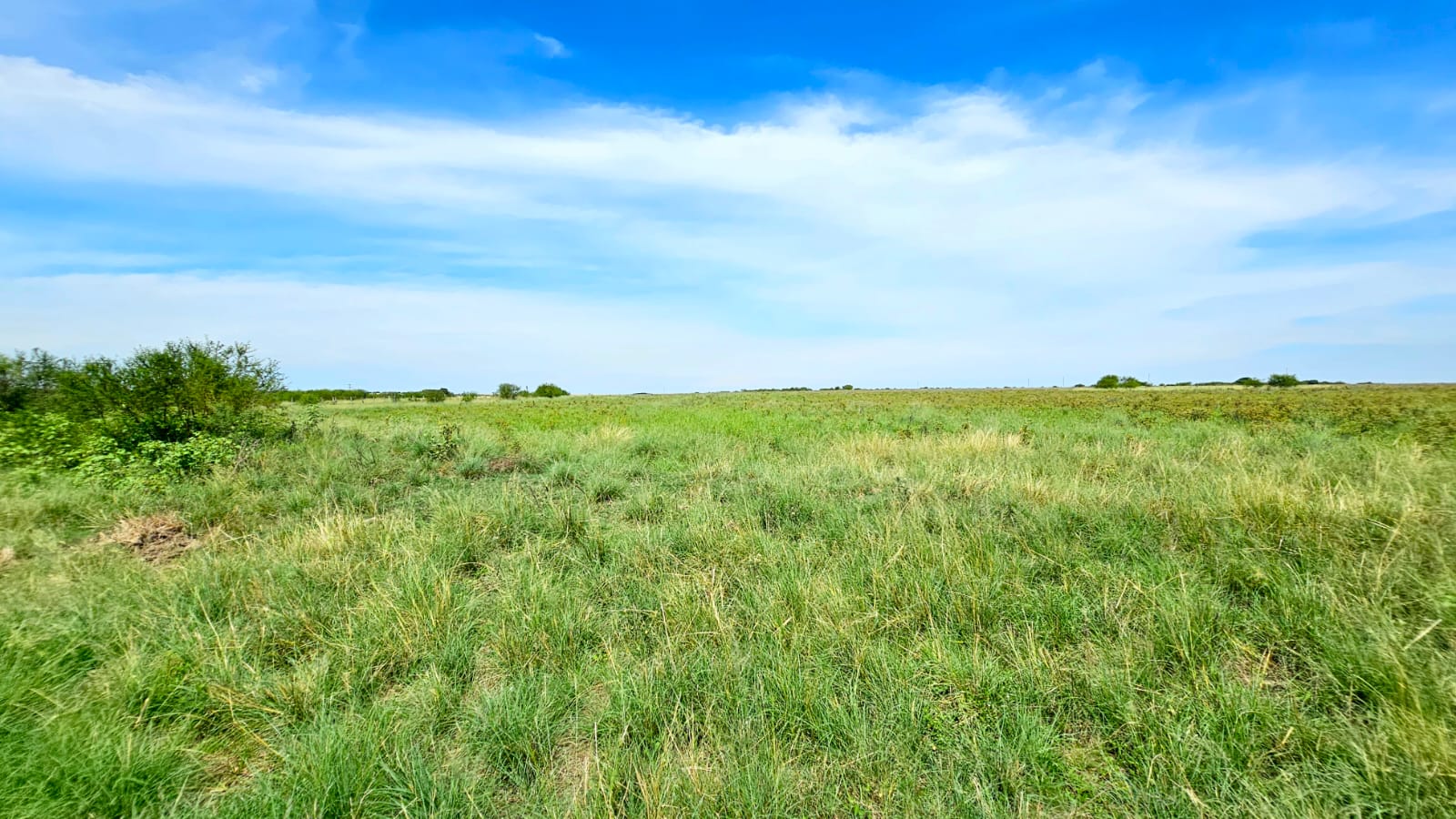 Fazenda à venda em Alegrete
