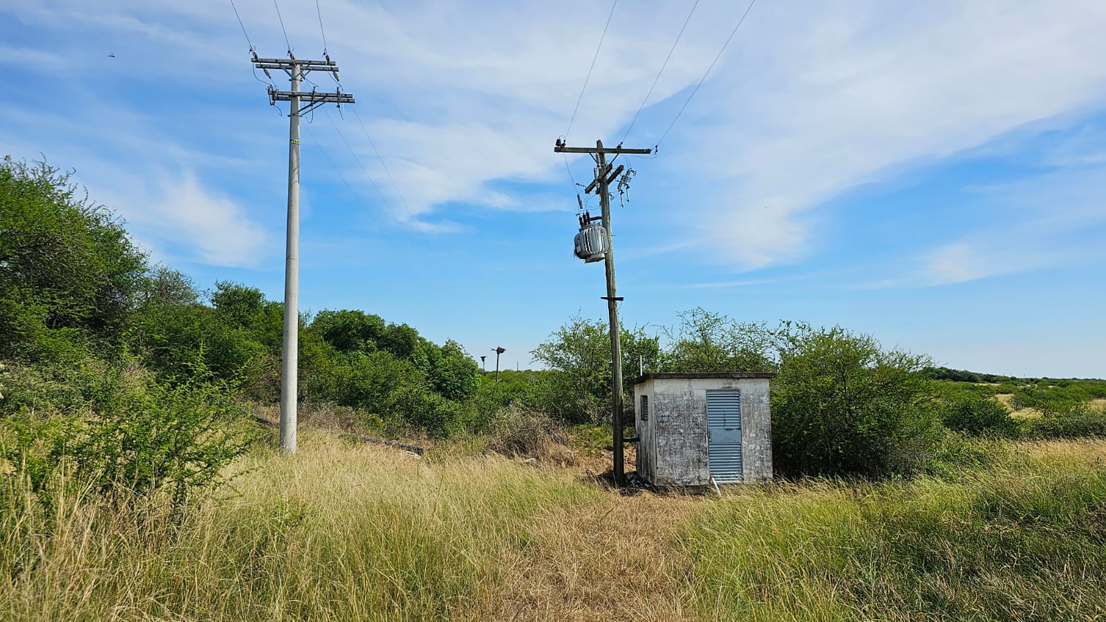 Fazenda à venda em Alegrete