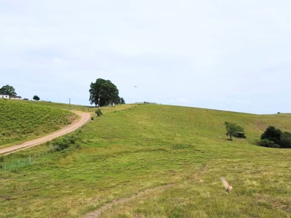 Fazenda à venda em Pinheiro Machado