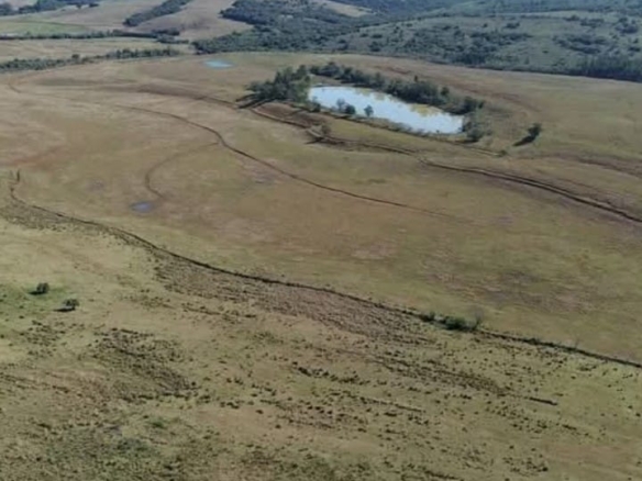 Fazenda à venda em Arroio dos Ratos