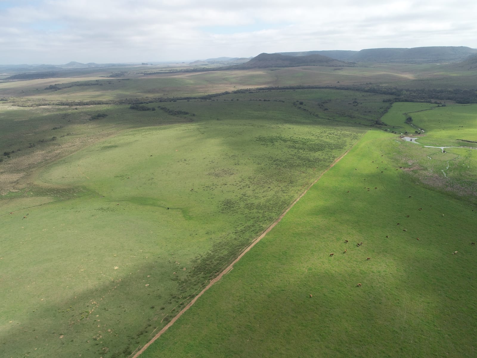 Fazenda à venda em Rosário do Sul