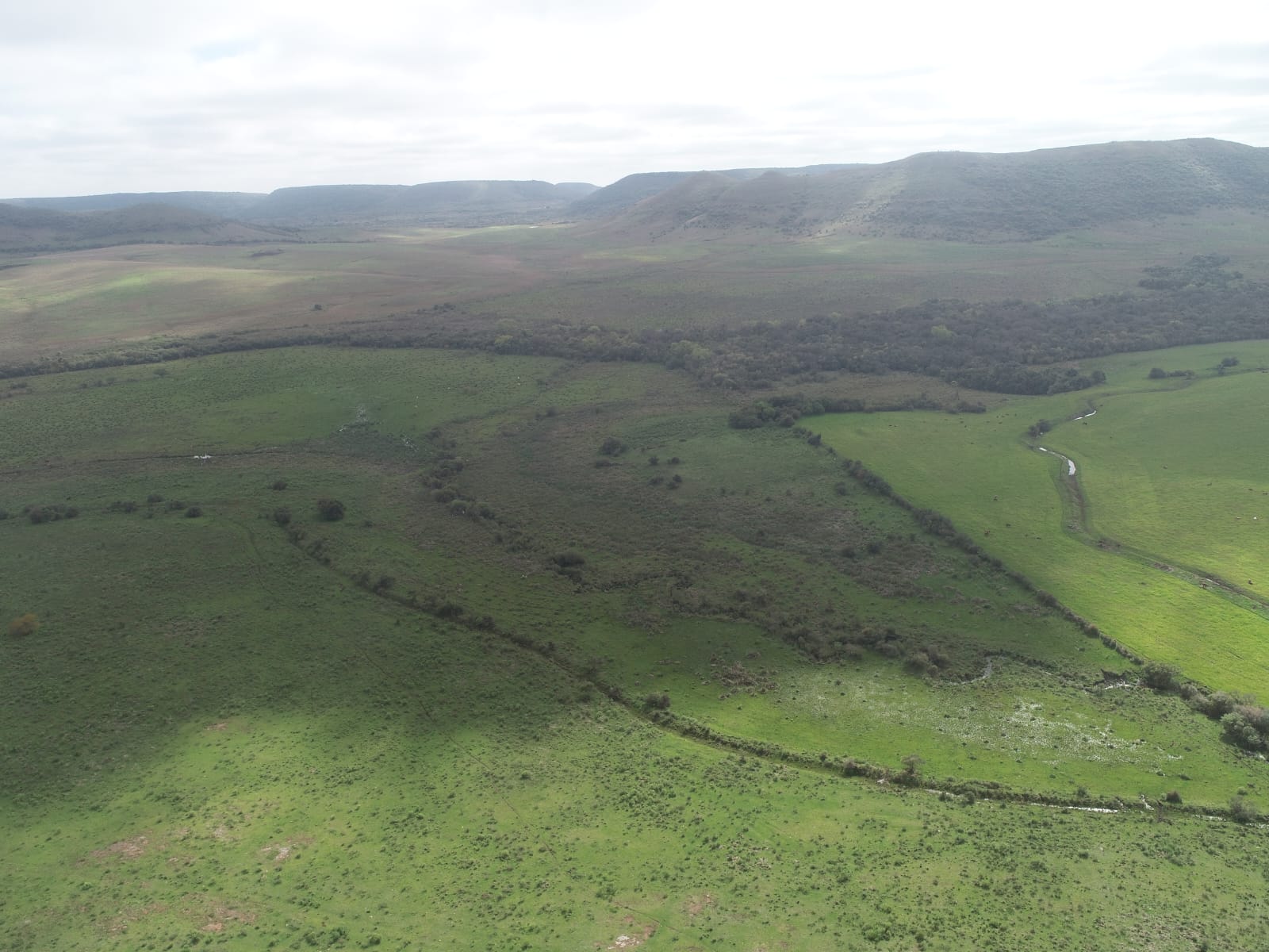 Fazenda à venda em Rosário do Sul