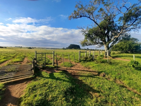 Fazenda à venda em Lavras do Sul
