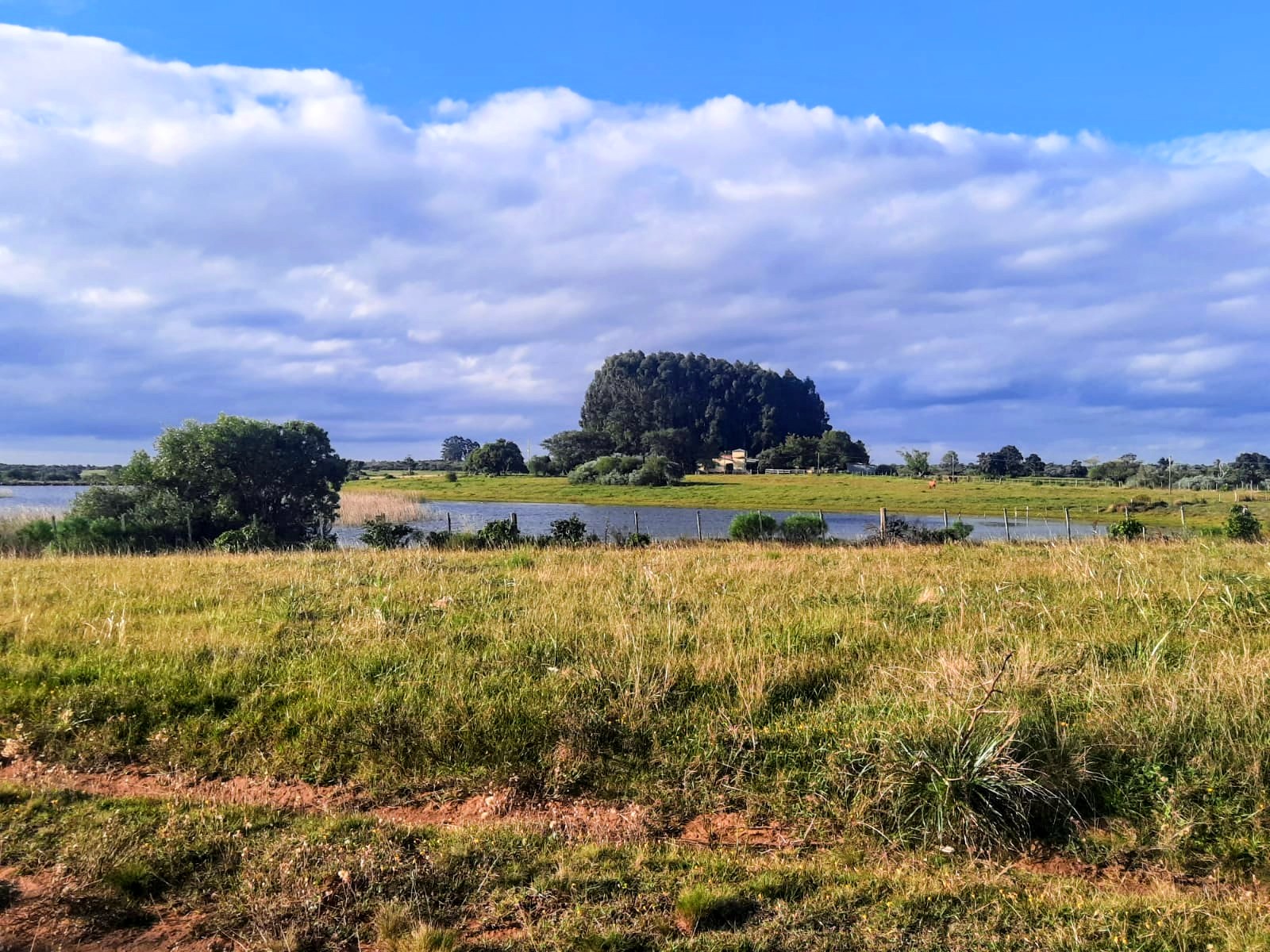 Fazenda à venda em Lavras do Sul