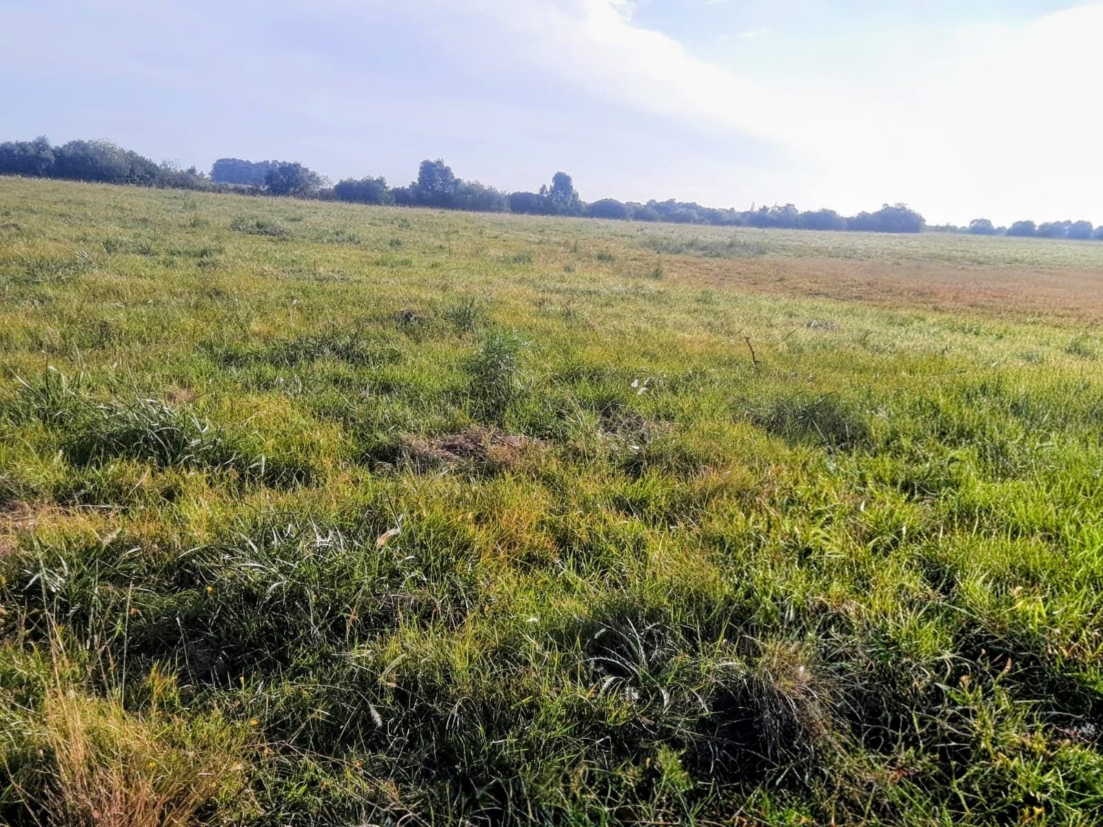 Fazenda à venda em Lavras do Sul