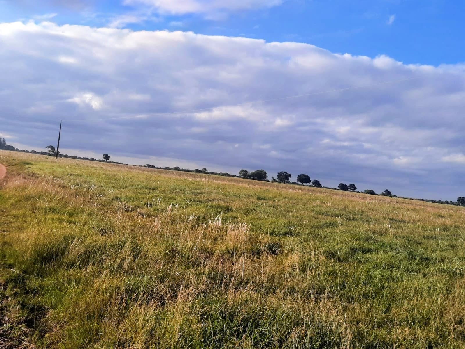 Fazenda à venda em Lavras do Sul