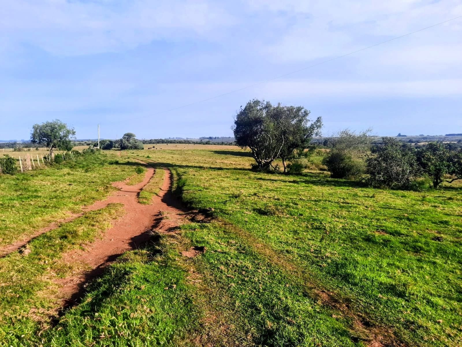 Fazenda à venda em Lavras do Sul