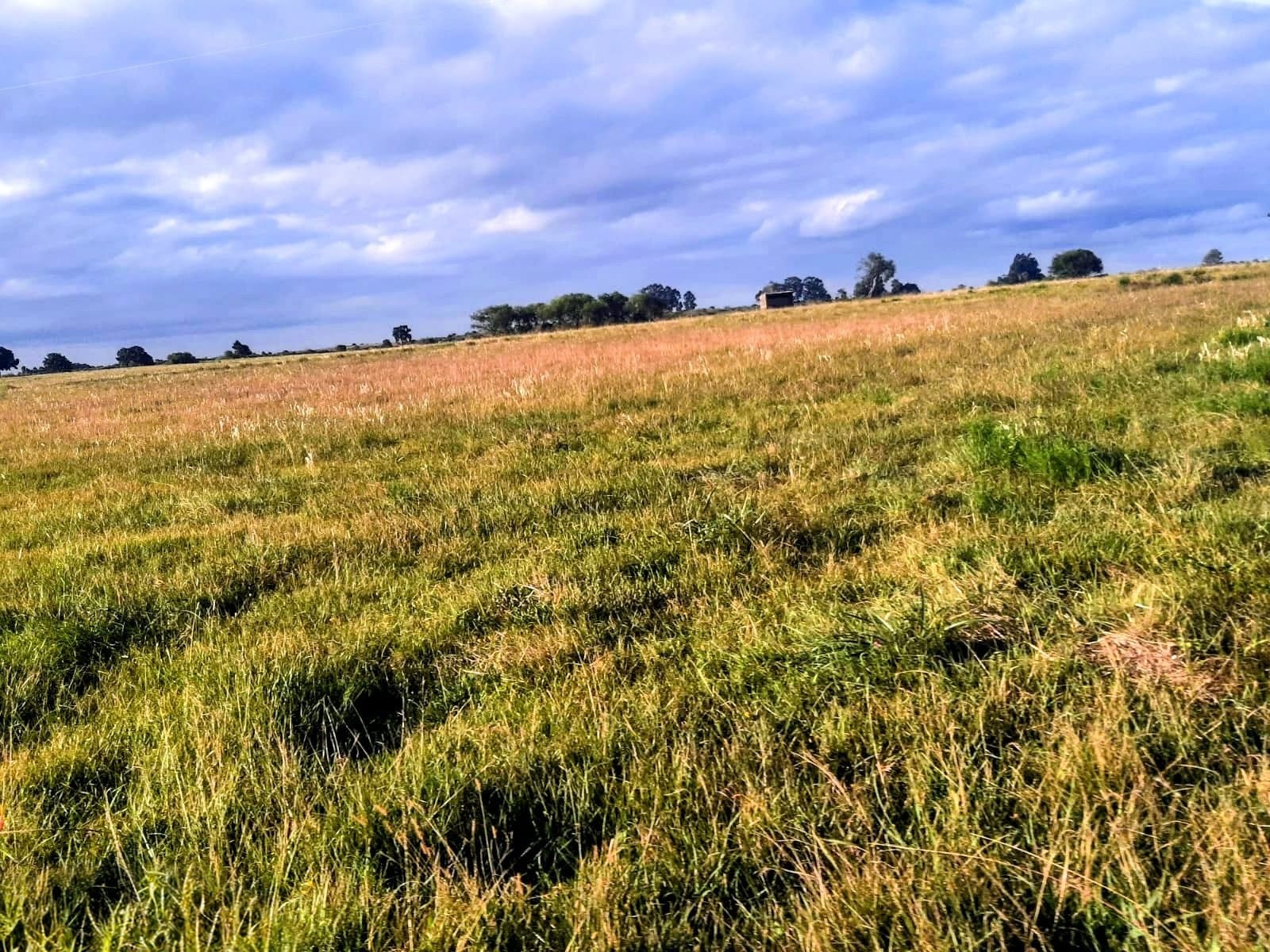 Fazenda à venda em Lavras do Sul