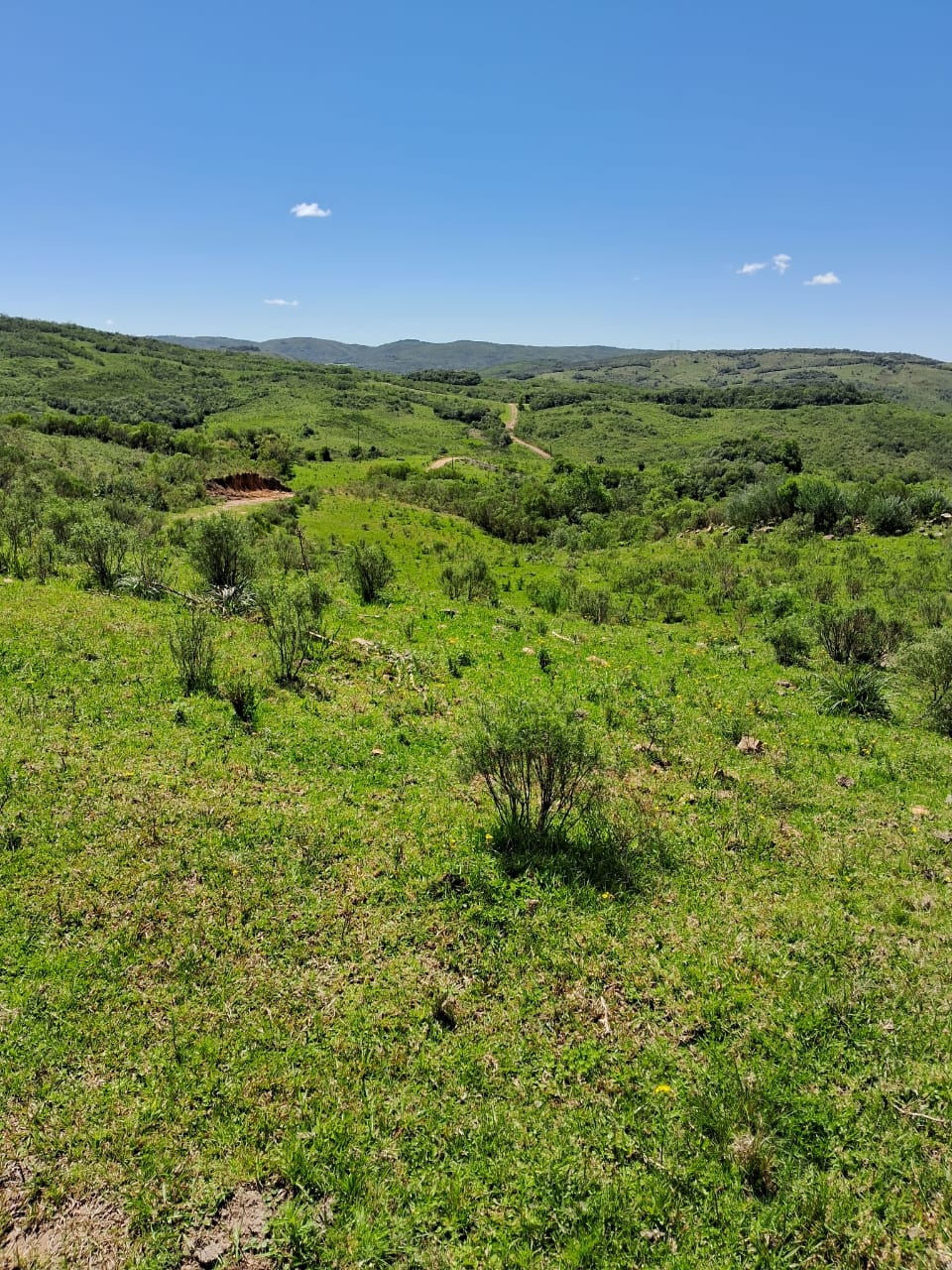 Fazenda à venda em Piratini