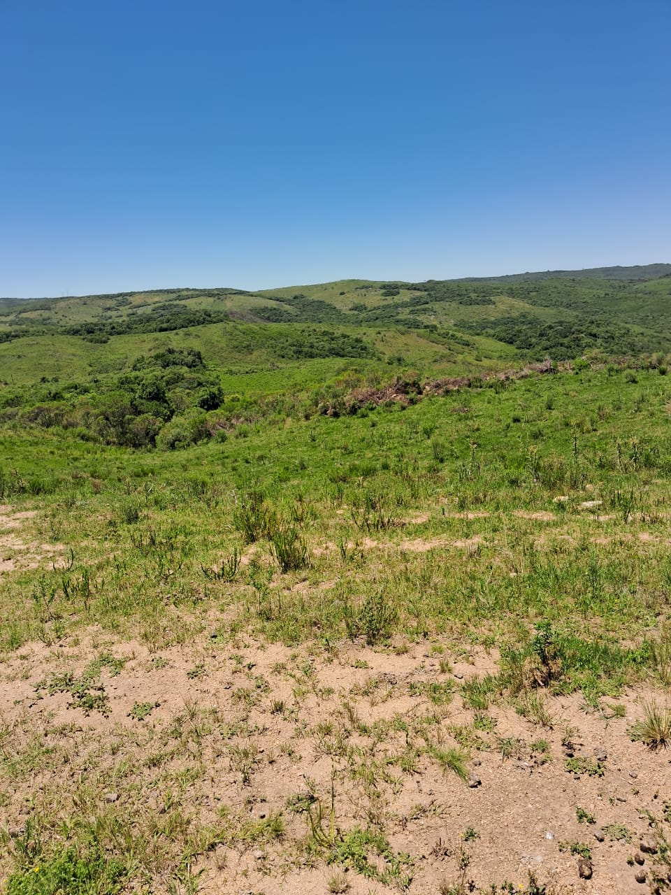 Fazenda à venda em Piratini