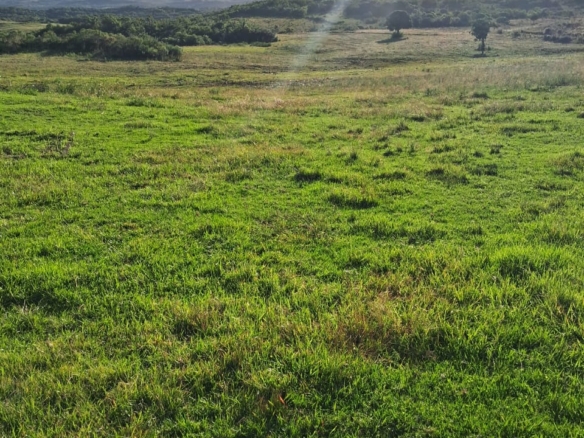 Fazenda à venda em Piratini