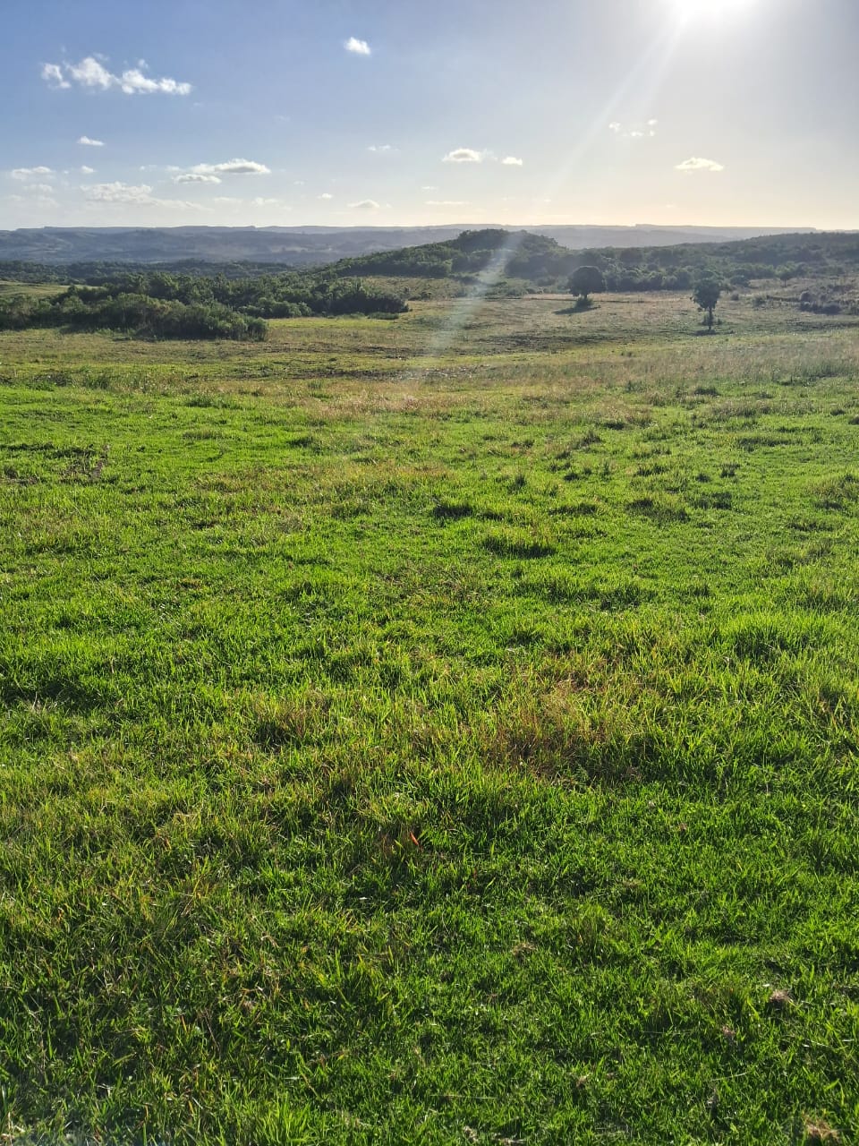 Fazenda à venda em Piratini
