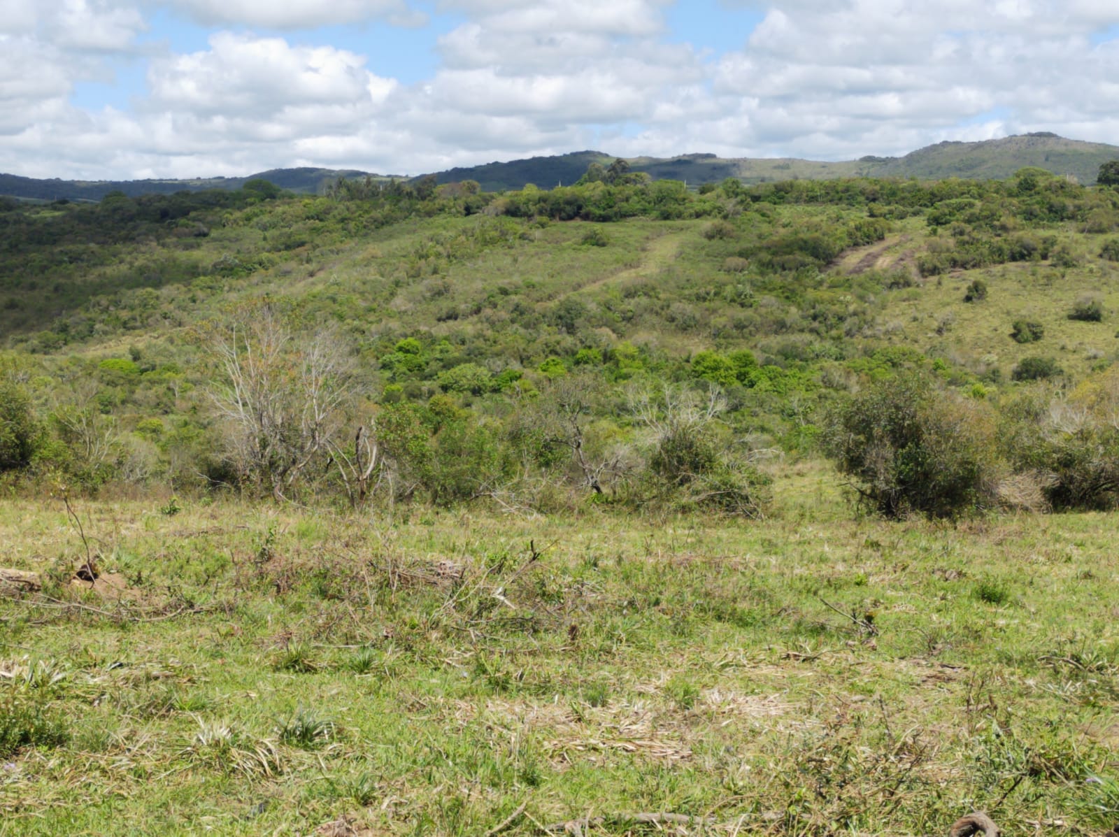 Fazenda à venda em Dom Feliciano