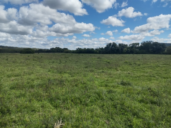 Fazenda à venda em Dom Feliciano