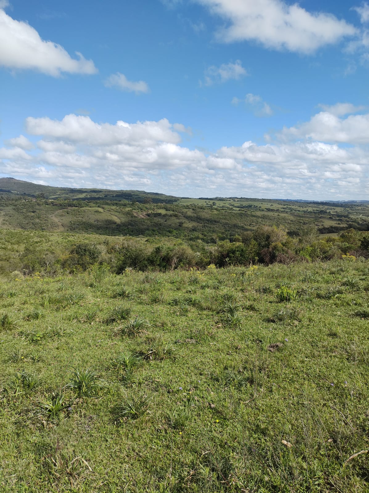 Fazenda à venda em Dom Feliciano