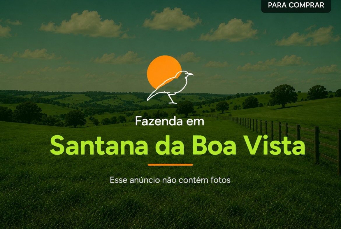 Fazenda à Venda em Santana da Boa Vista